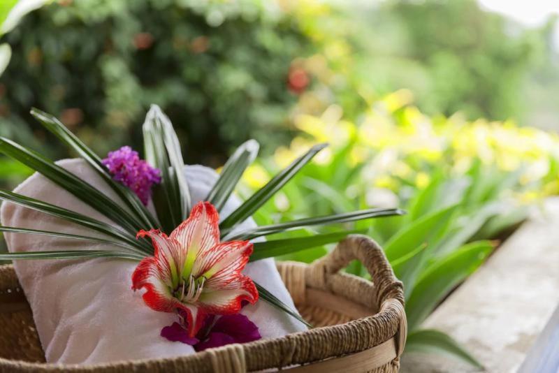 Xandari Resort & Spa Sabanilla de Pampas Номер фото